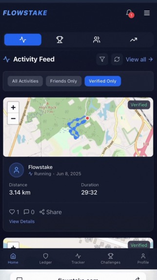 Flowstake.com – screenshot 1
