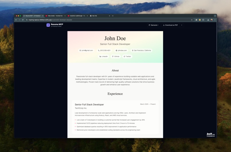 Lucid: Resume MCP – screenshot 14