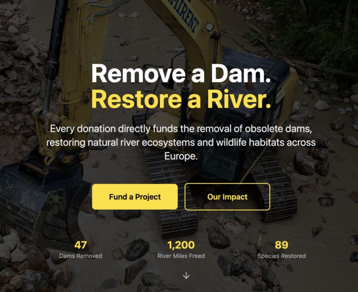 Dam(n) store – screenshot 1