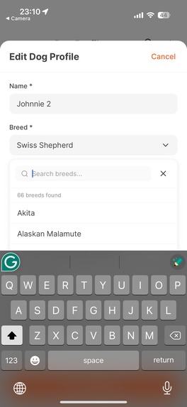 Dote – screenshot 11