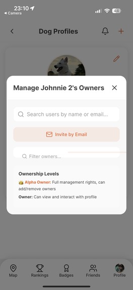 Dote – screenshot 10