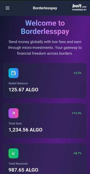 BorderlessPay – screenshot 2