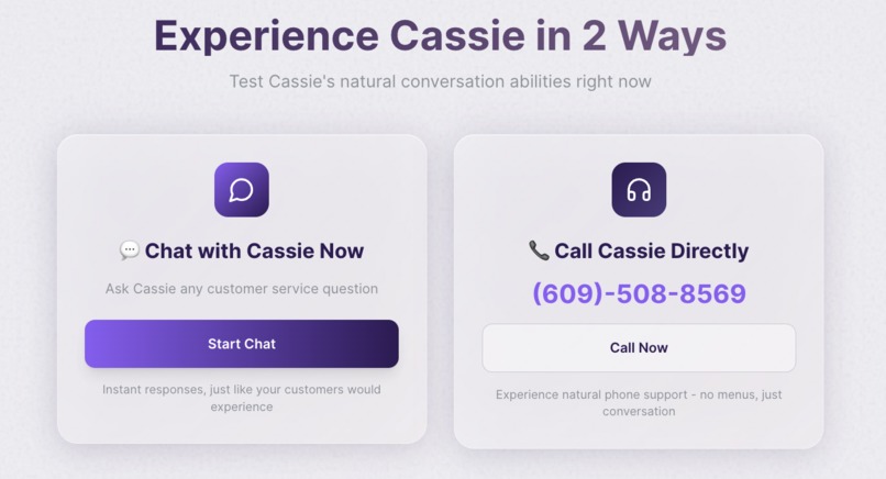 Brisk Automations – screenshot 3