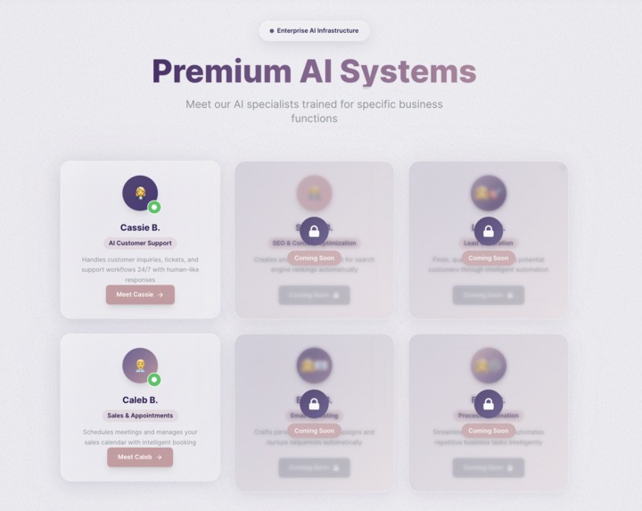 Brisk Automations – screenshot 2