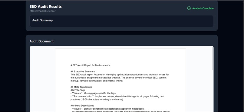 SEOAudit – screenshot 4