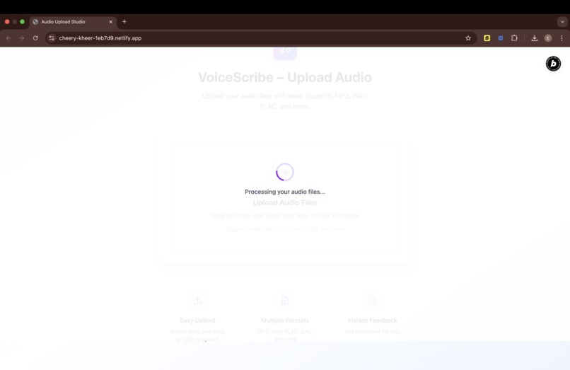 VoiceScribe – screenshot 2