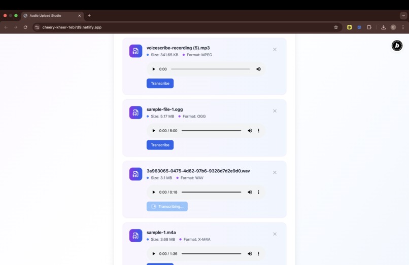 VoiceScribe – screenshot 3