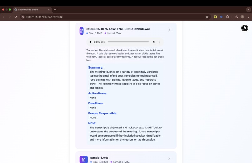 VoiceScribe – screenshot 4