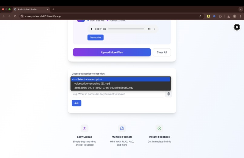 VoiceScribe – screenshot 5