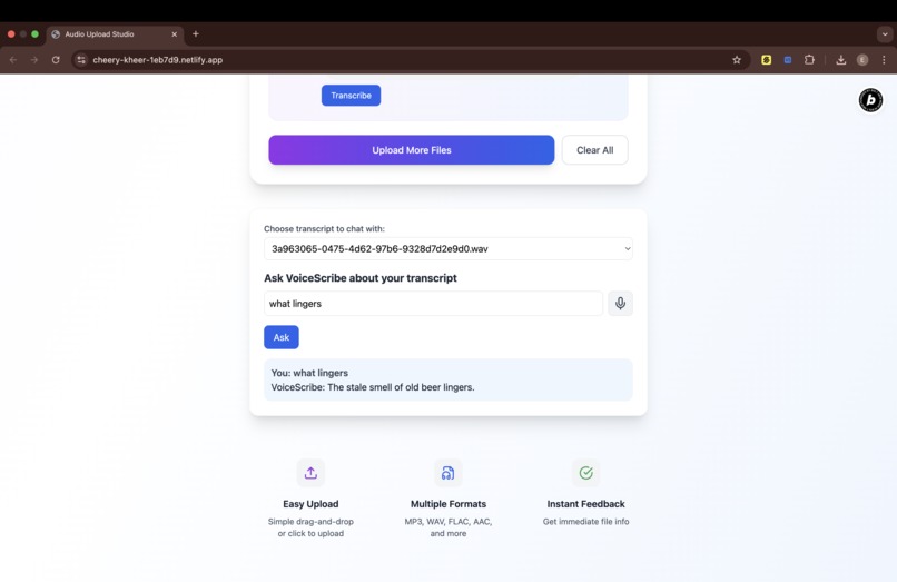 VoiceScribe – screenshot 6