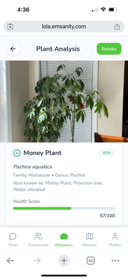 Lola: Your Community-Powered Garden Assistant – screenshot 3