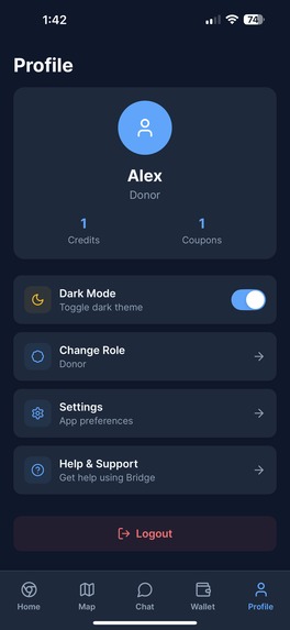 Bridge: AI Help for Homeless (Single Prompt) – screenshot 3