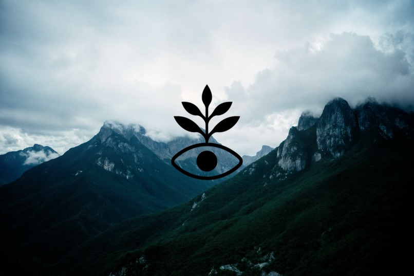 Celf: See clearly. Act boldly. – screenshot 4