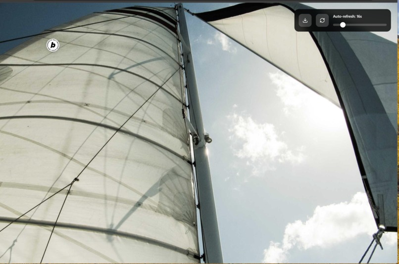 NoHumanWorld.com – screenshot 1