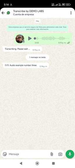 Transcribe using whatsapp – screenshot 4