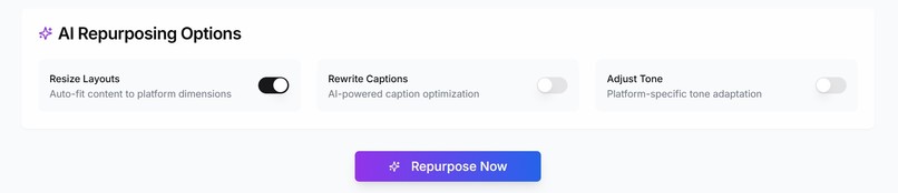 Auto Repurpose Pro – screenshot 3