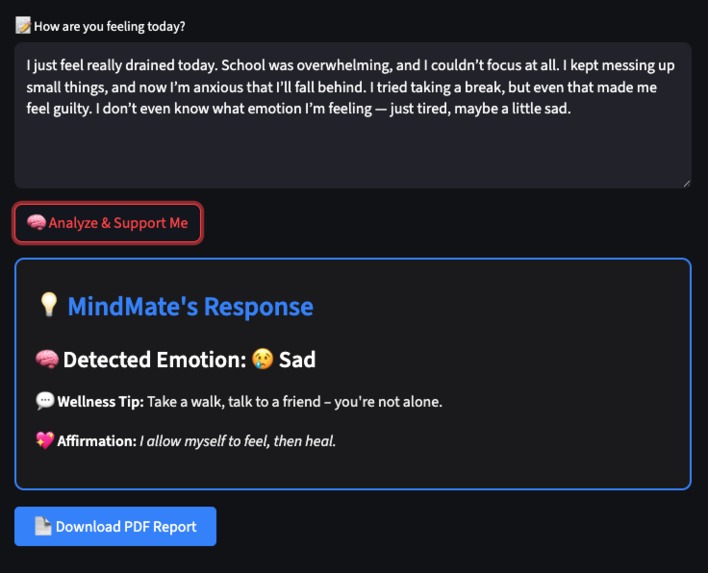 MindMate – screenshot 2