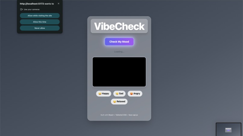 VibeCheck – screenshot 2
