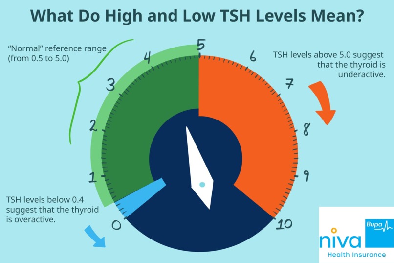 High TSH Levels – screenshot 1