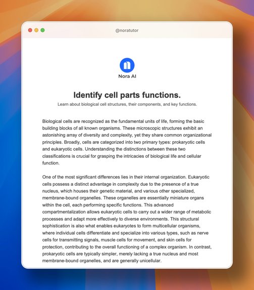 Nora AI – screenshot 10