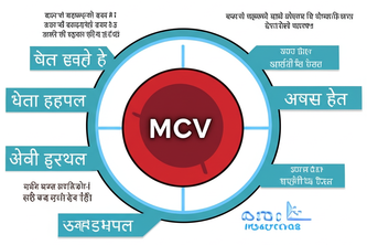MCV Blood Test in Hindi