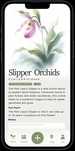 EcoLog: Your Pocket AI Field Guide – screenshot 3