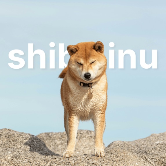 Text Behind Image – screenshot 2