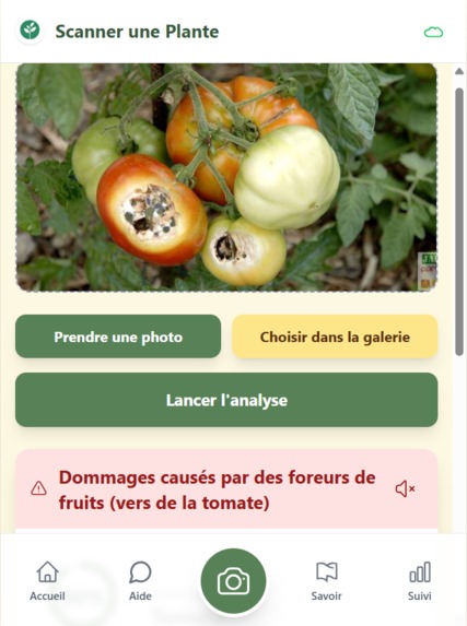 DrPlante (Docteur Plante) – screenshot 4