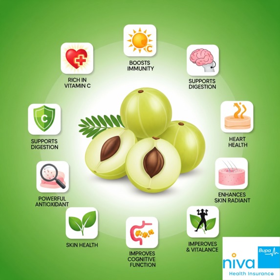 Amla Khane Ke Fayde – screenshot 1