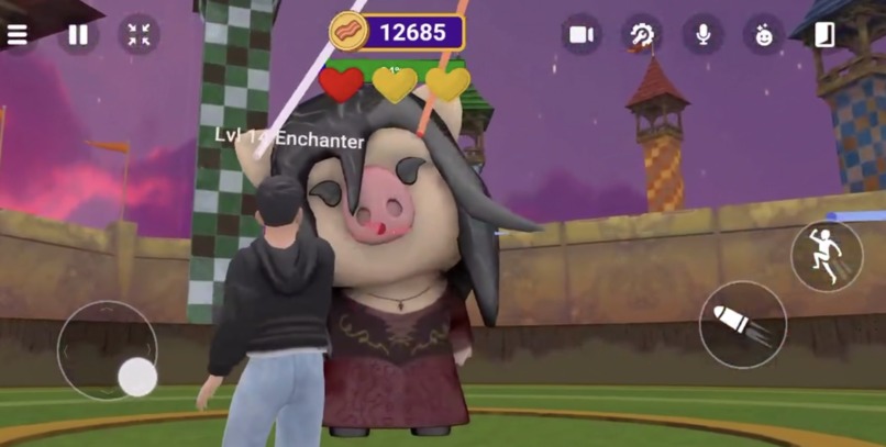 Harry Porker's HogWars – screenshot 6