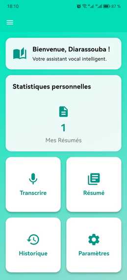 VoiceFlow – screenshot 3