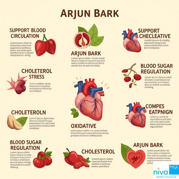 Arjun ki Chhal ke Fayde – screenshot 1