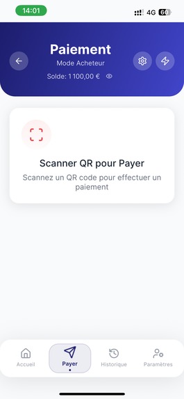 OffliPay – screenshot 11