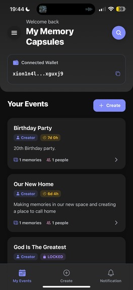 Memory Capusle – screenshot 1