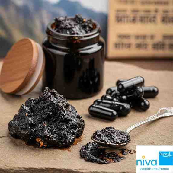 Shilajit Benefits in Hindi  – screenshot 1