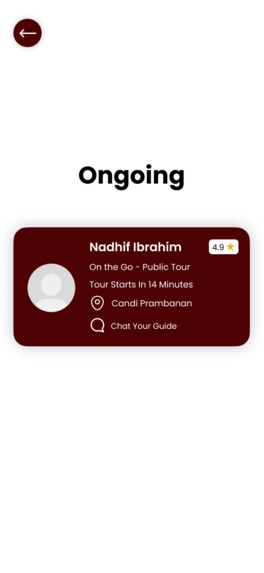 Roots & Tours – screenshot 15