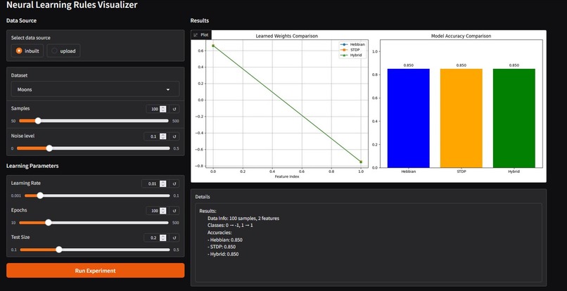 NeuroLearn Studio – screenshot 1