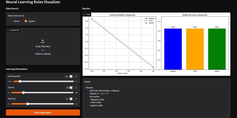 NeuroLearn Studio – screenshot 2
