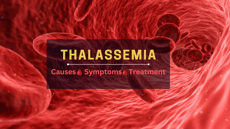 Thalassemia Support:  A Blood Support Platform – screenshot 2
