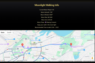 Moonlight Walking