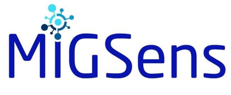 MIGSENS – screenshot 1