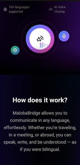 MALOBA_BRIDGE_AI  – screenshot 2