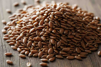 Flax Seeds in Hindi