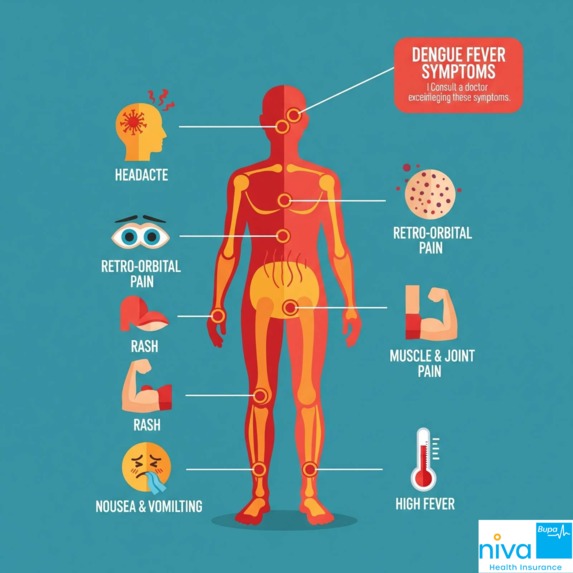 What Are the Dengue Symptoms – screenshot 1