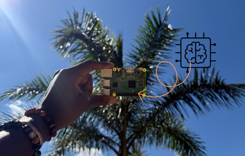 Lightweight AI for Rural Africa – screenshot 1