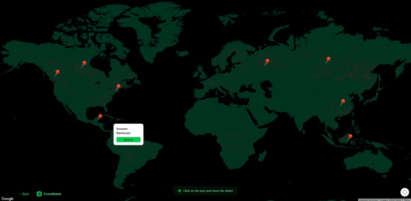 ForestWatch – screenshot 5