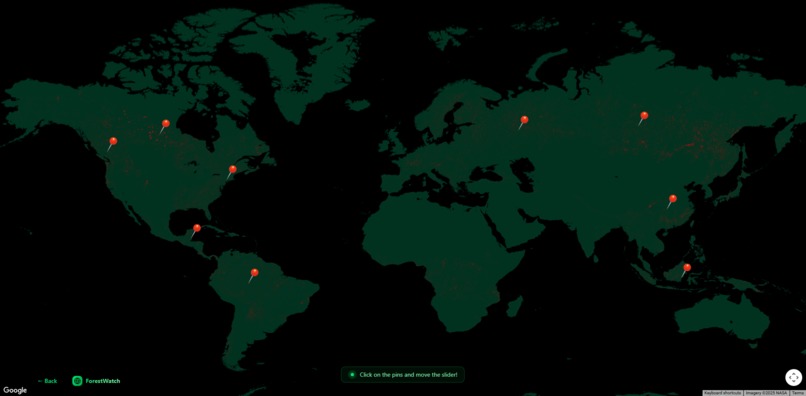 ForestWatch – screenshot 4