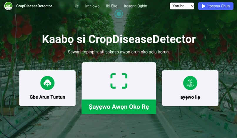 CropDiseaseDetector – screenshot 3