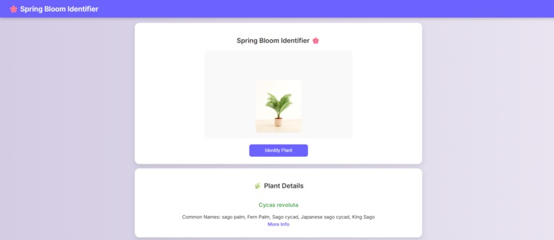 Spring Bloom Identifier – screenshot 2