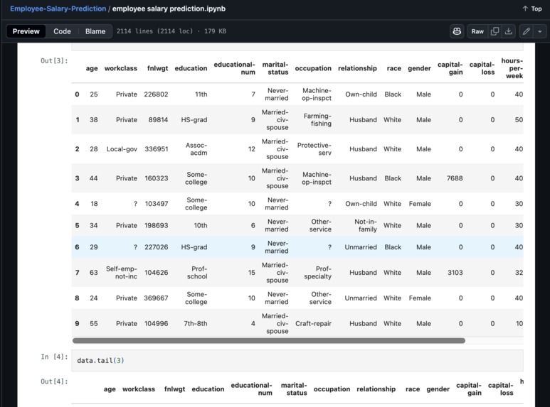 Employee Salary Prediction – screenshot 4
